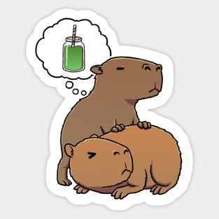 Capybara thirsty for Green juice smoothie Sticker